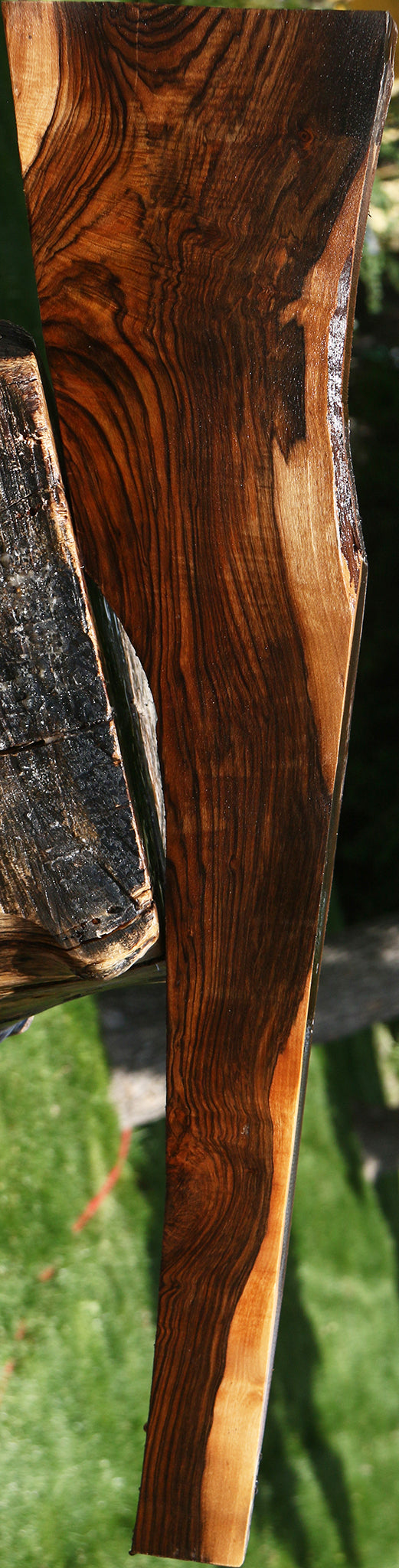 Exhibition English Walnut Gun Blank
