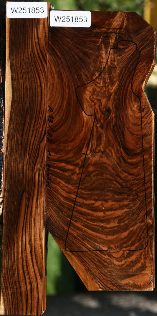 Exhibition English Walnut Forend and Butt Stock 2 Pack