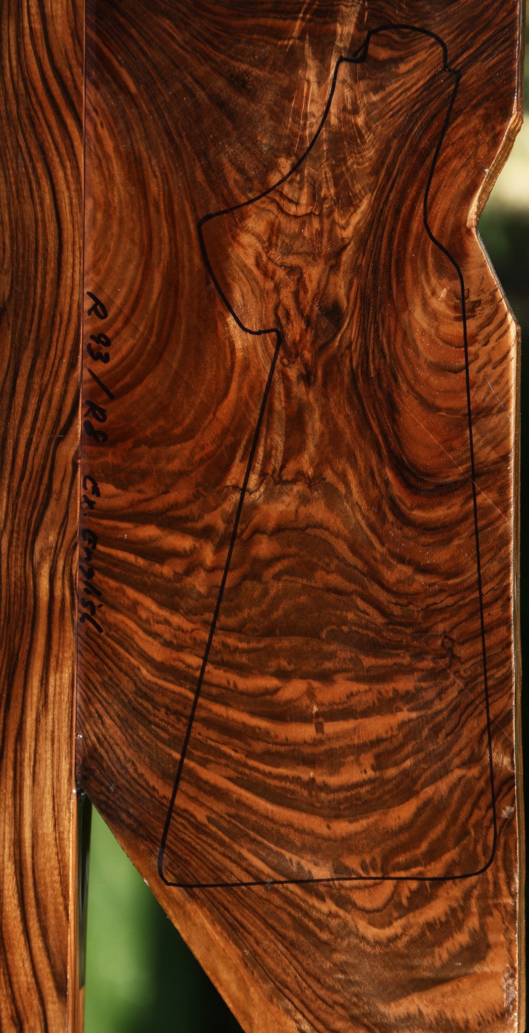 Exhibition English Walnut Forend and Butt Stock 2 Pack