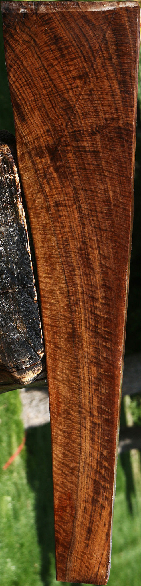 AAA Claro Walnut Gun Blank