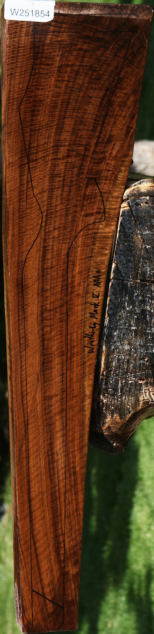 AAA Claro Walnut Gun Blank