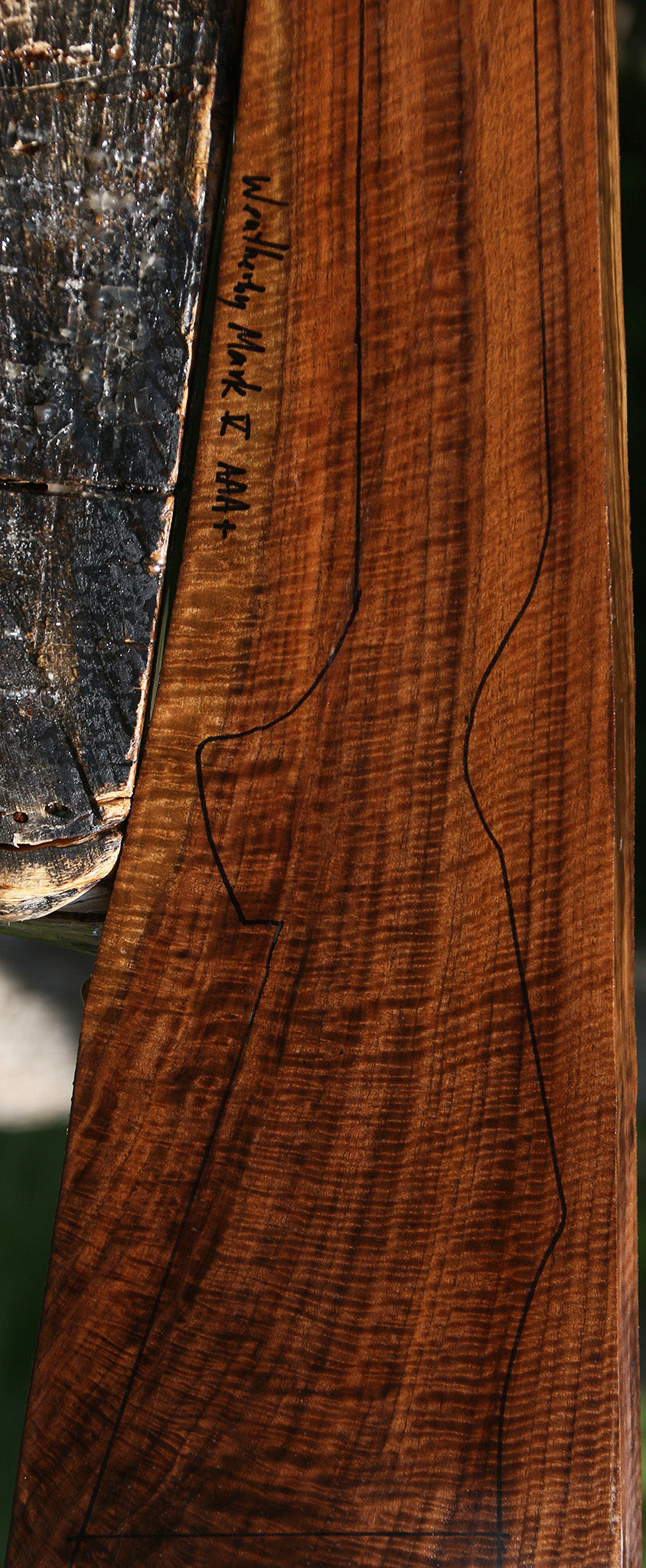AAA Claro Walnut Gun Blank