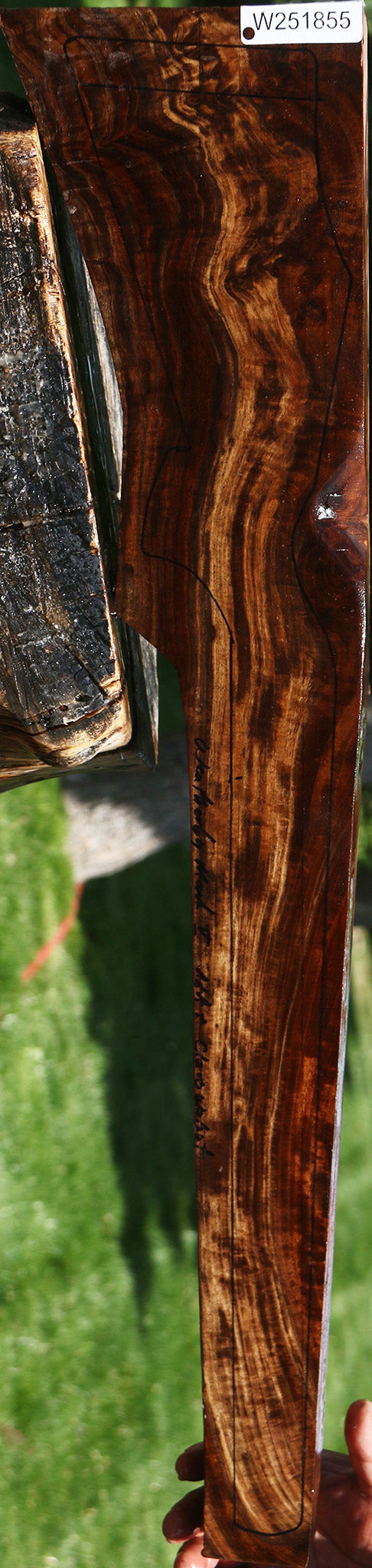 AAA Exhibition Claro Walnut Gun Blank