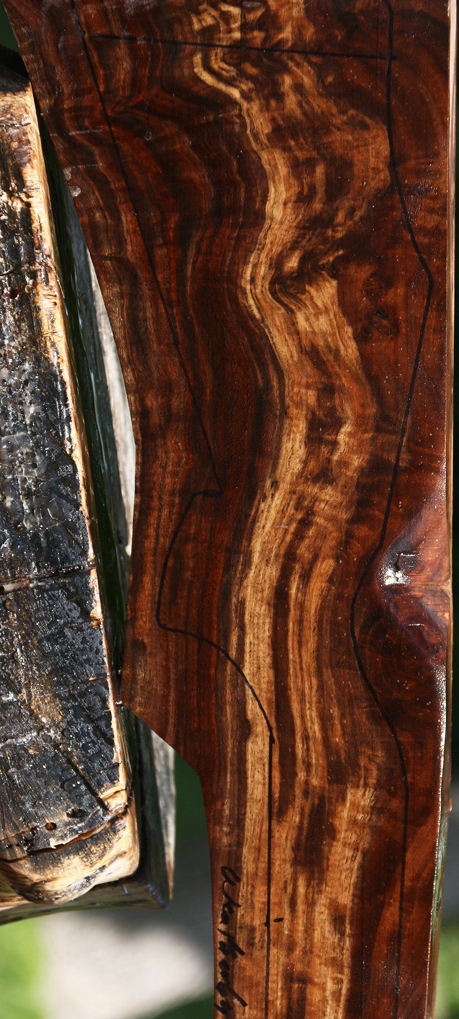 AAA Exhibition Claro Walnut Gun Blank