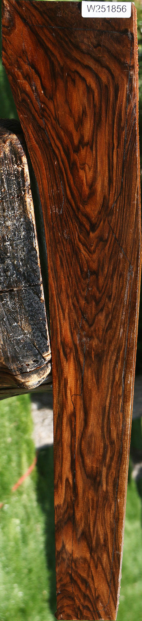 Extra Fancy English Walnut Gun Blank