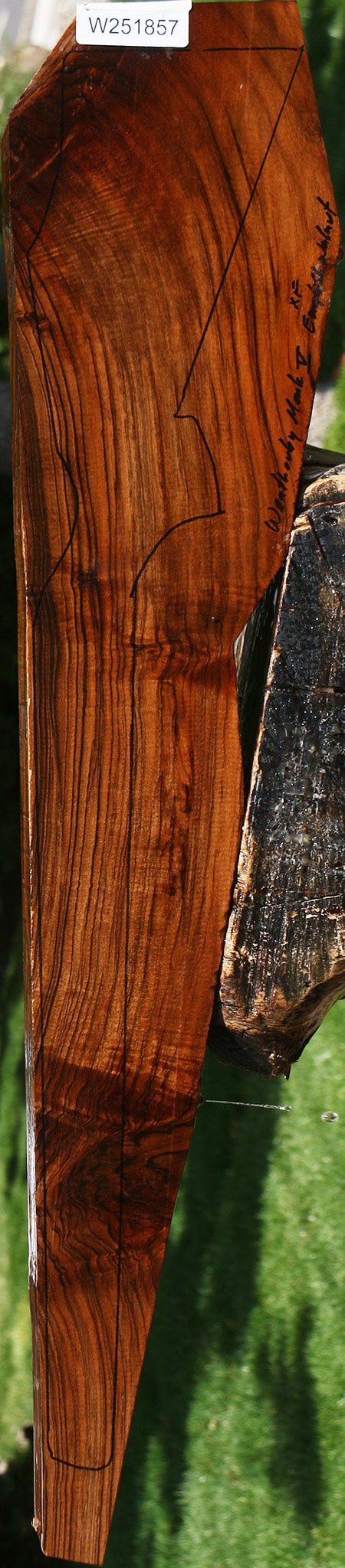 Extra Fancy Claro Walnut Gun Blank