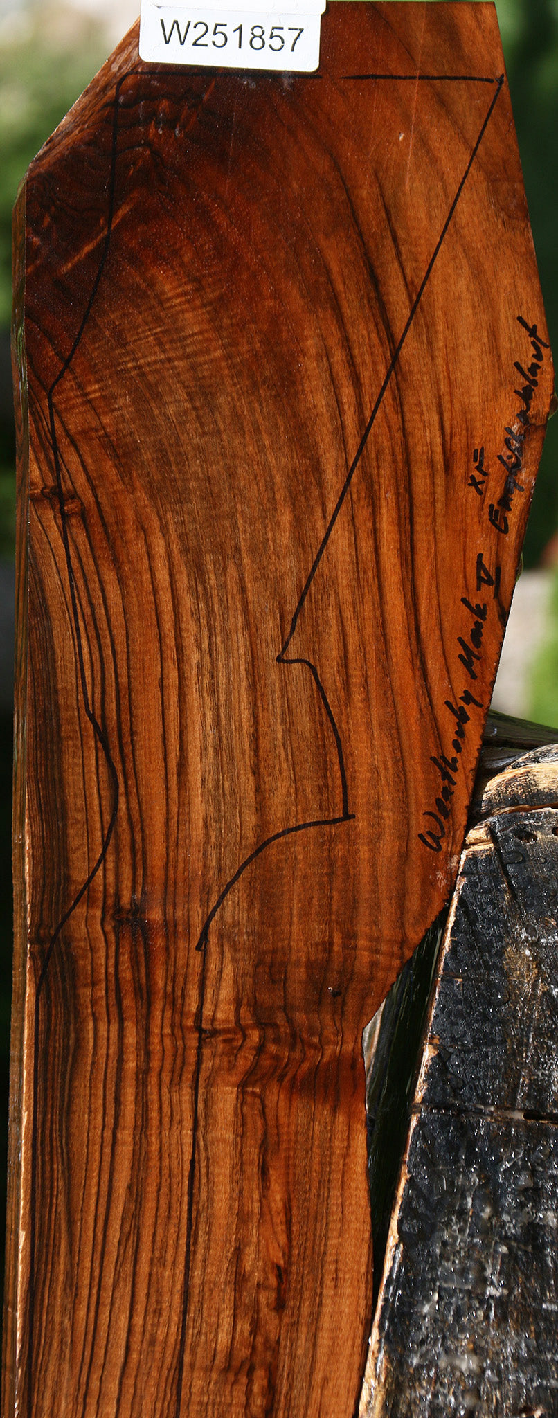 Extra Fancy Claro Walnut Gun Blank