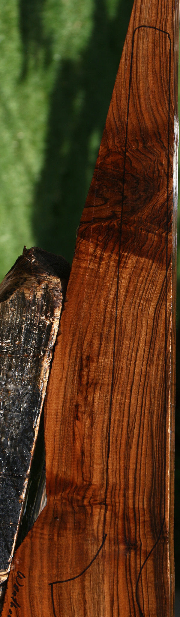 Extra Fancy Claro Walnut Gun Blank