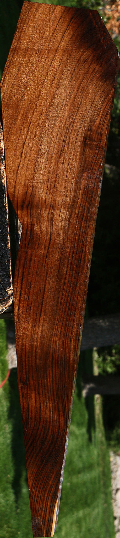 Extra Fancy Claro Walnut Gun Blank