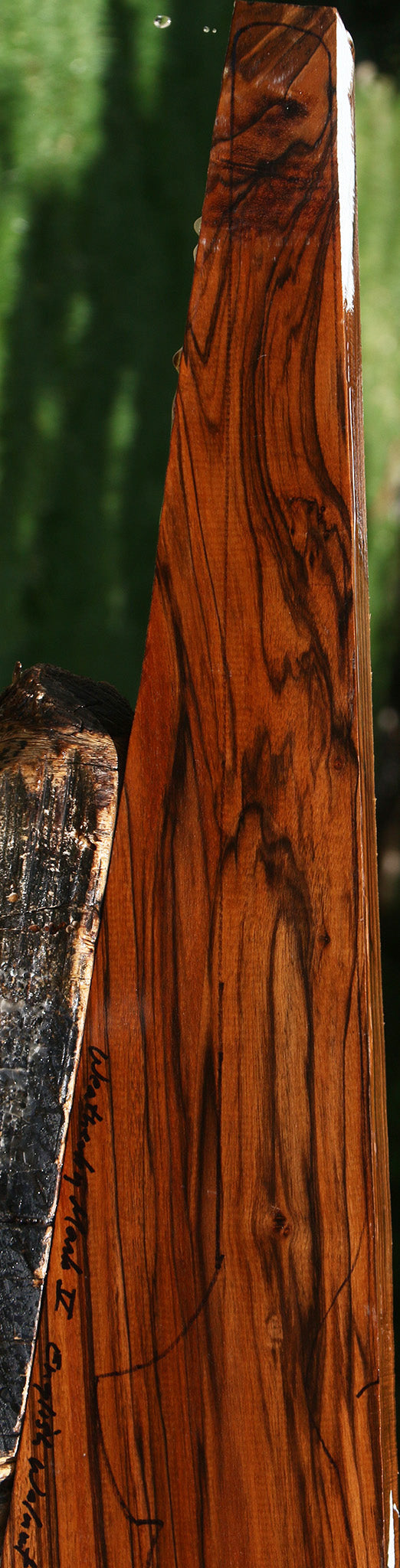 Exhibition English Walnut Gun Blank