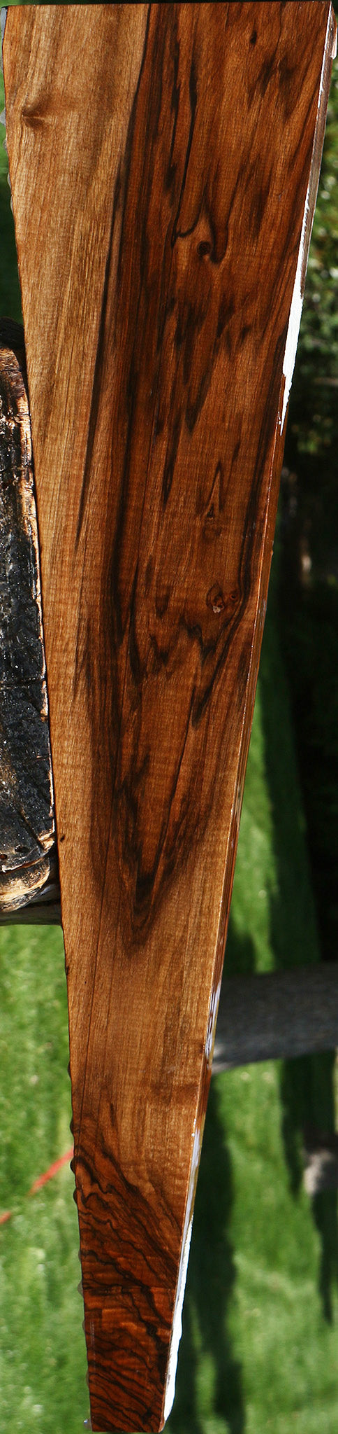 Exhibition English Walnut Gun Blank