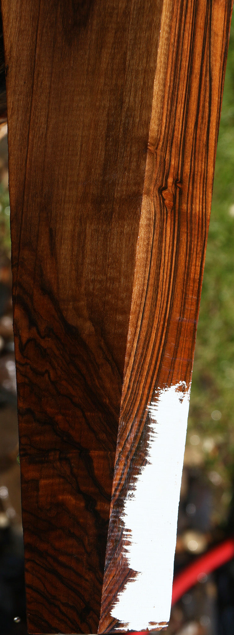 Exhibition English Walnut Gun Blank