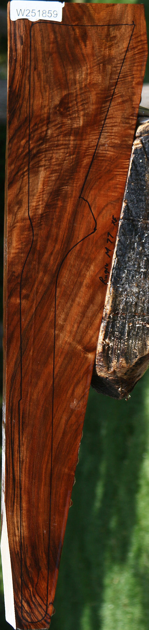 Extra Fancy English Walnut Gun Blank