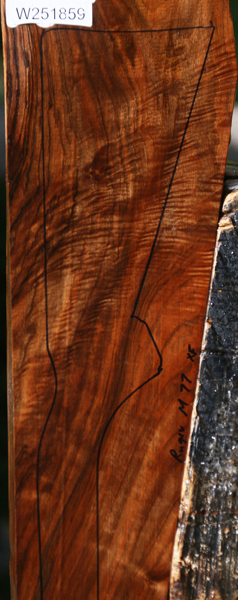Extra Fancy English Walnut Gun Blank