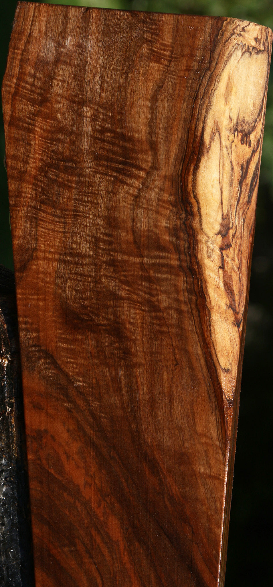 Extra Fancy English Walnut Gun Blank