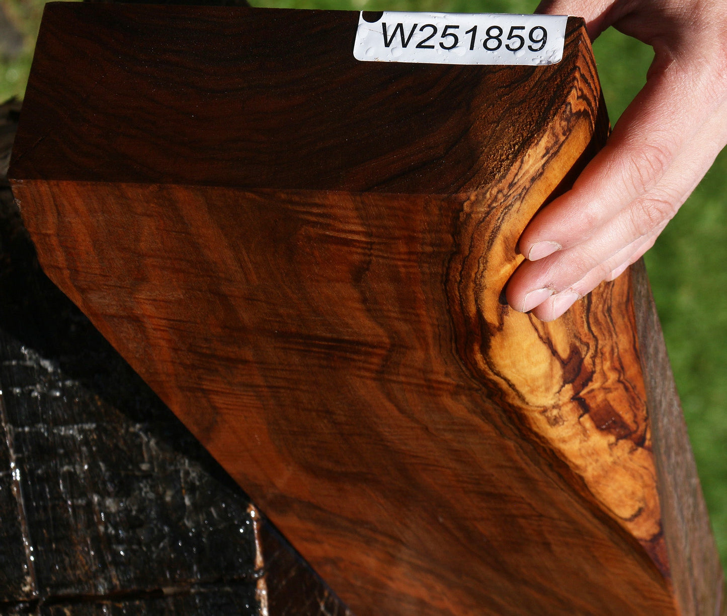 Extra Fancy English Walnut Gun Blank