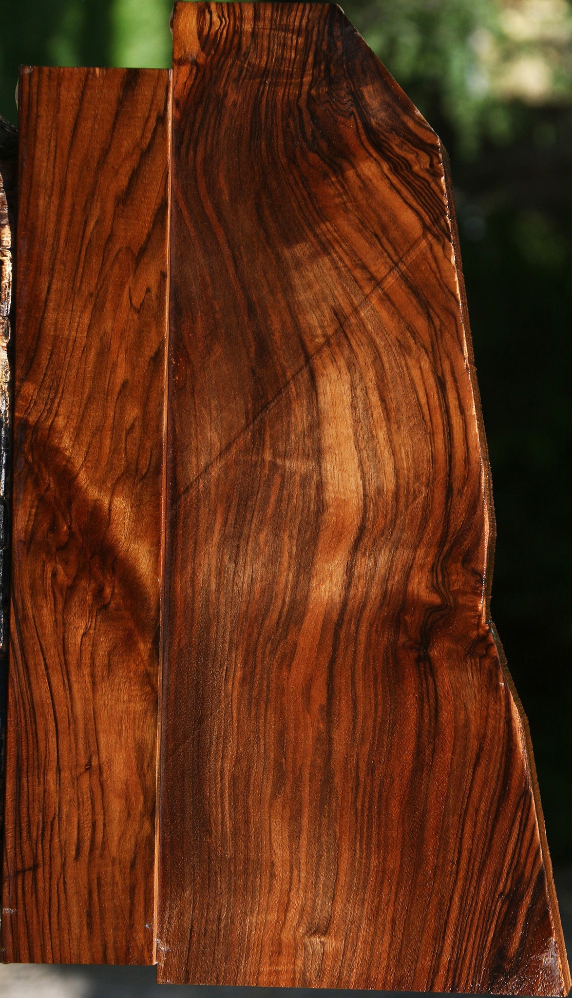 Figured English Walnut Forend and Butt Stock 2 Pack – Cook Woods