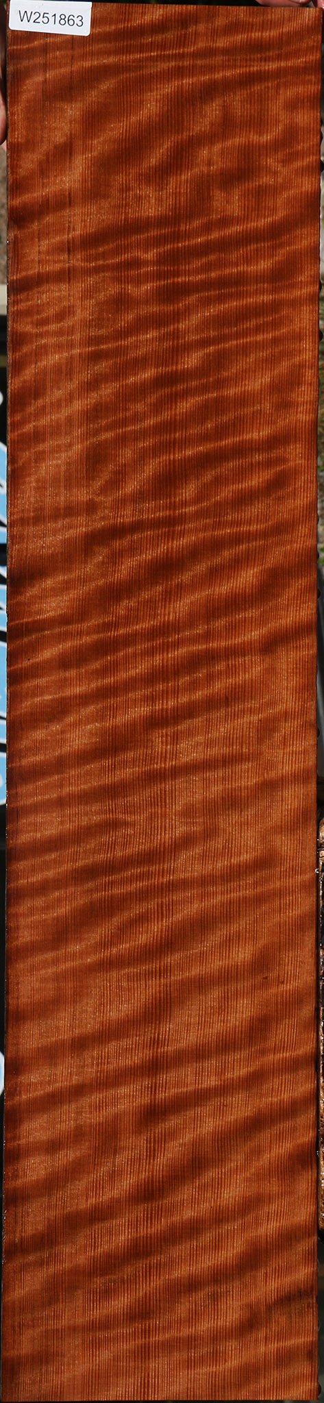 Extra Fancy Curly Redwood Instrument Lumber