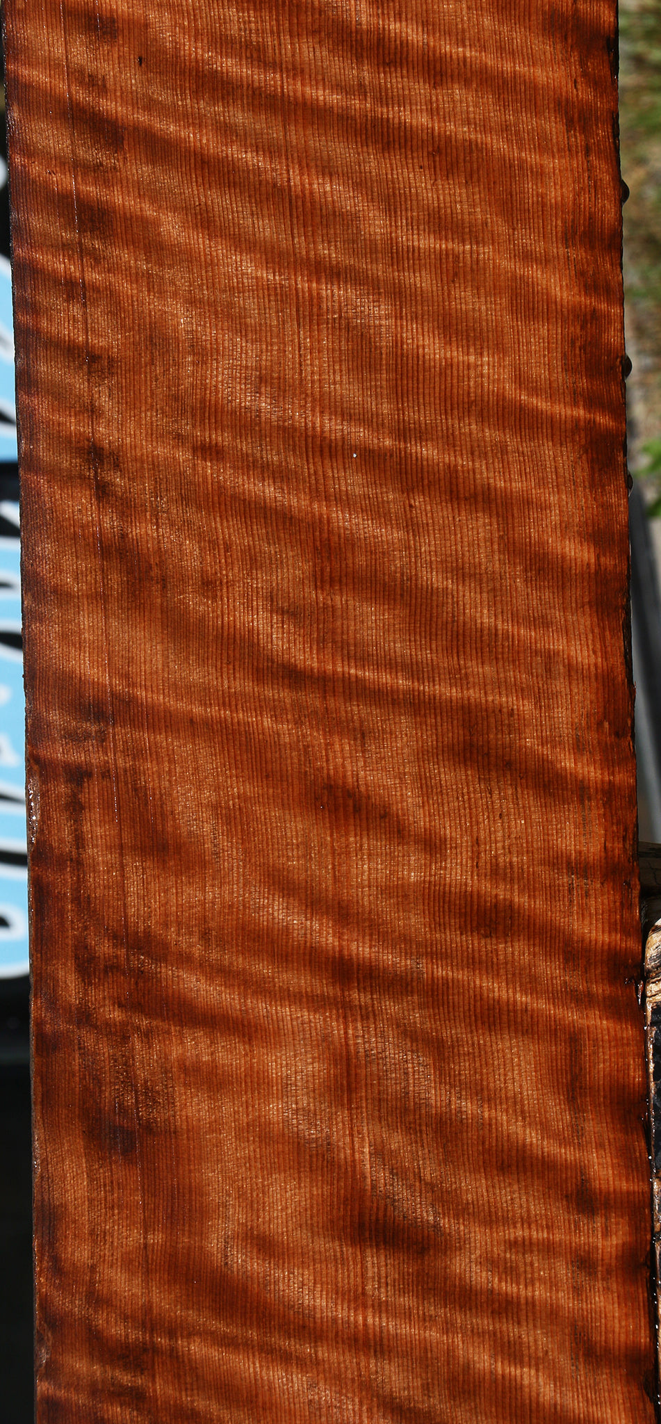 Extra Fancy Curly Redwood Instrument Lumber