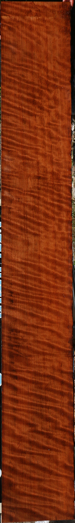Extra Fancy Curly Quartersawn Redwood Instrument Lumber