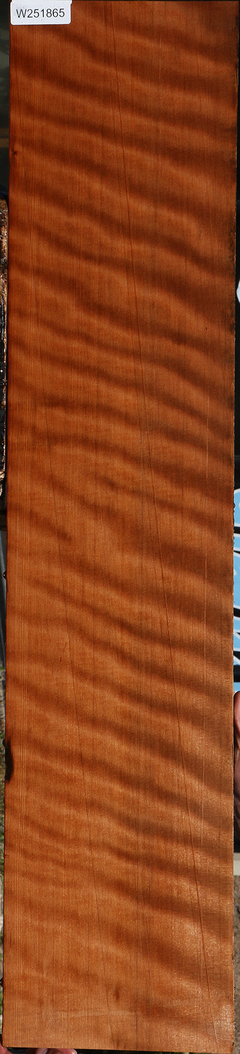 Extra Fancy Curly Quartersawn Redwood Instrument Lumber