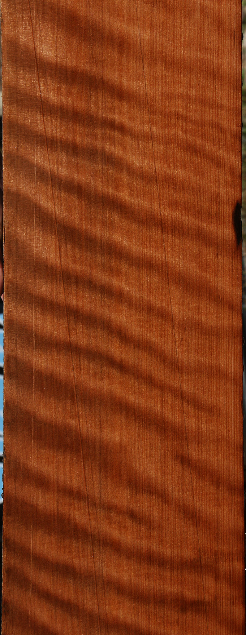 Extra Fancy Curly Quartersawn Redwood Instrument Lumber
