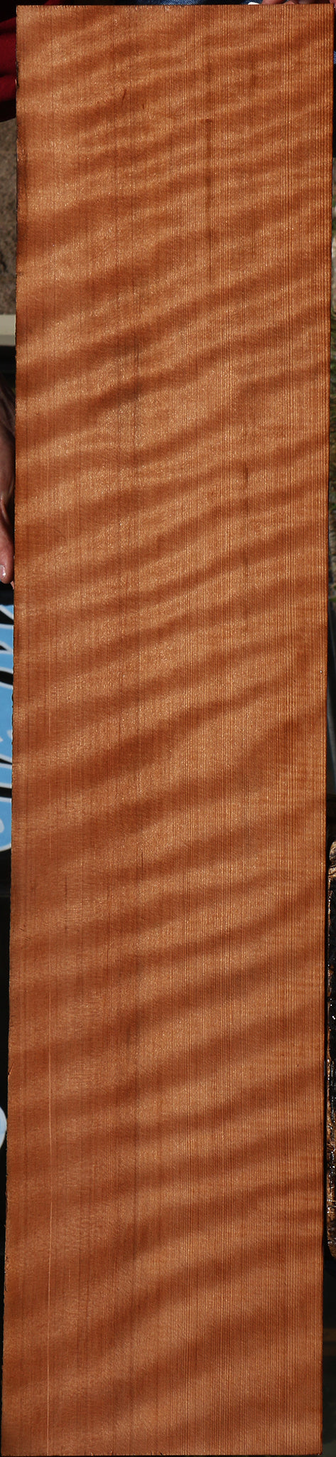 Extra Fancy Curly Quartersawn Redwood Instrument Lumber