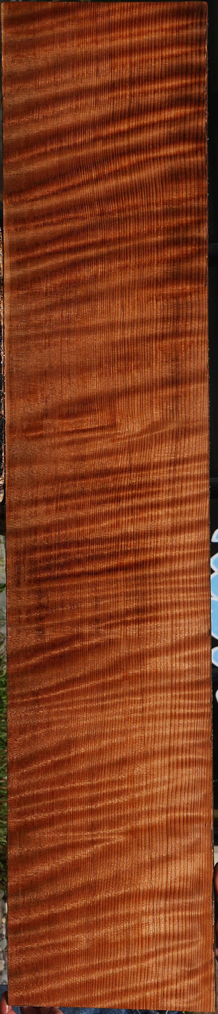 Extra Fancy Curly Quartersawn Redwood Instrument Lumber