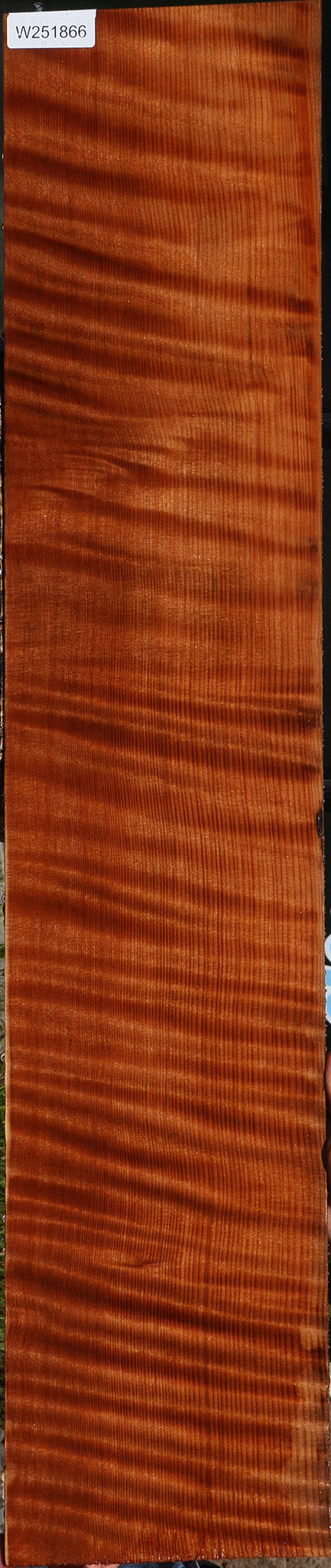 Extra Fancy Curly Quartersawn Redwood Instrument Lumber
