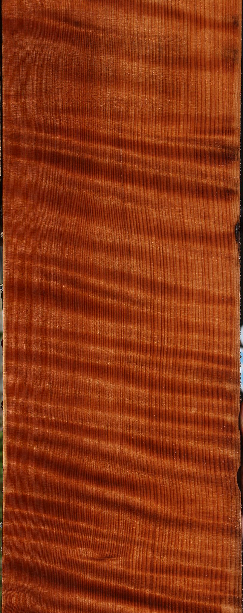 Extra Fancy Curly Quartersawn Redwood Instrument Lumber