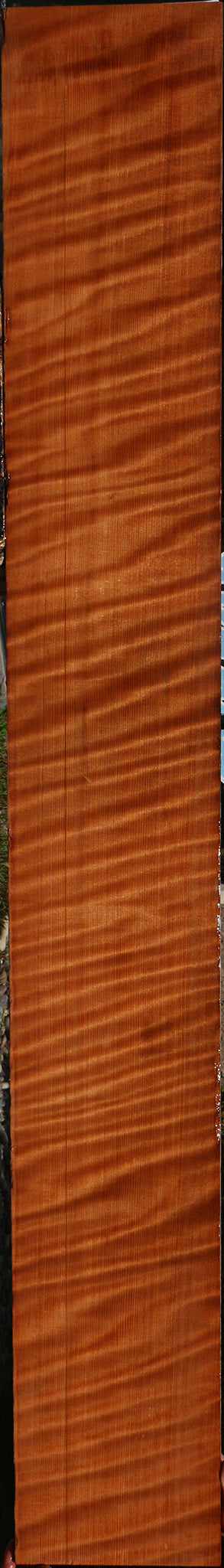 Extra Fancy Curly Quartersawn Redwood Instrument Lumber