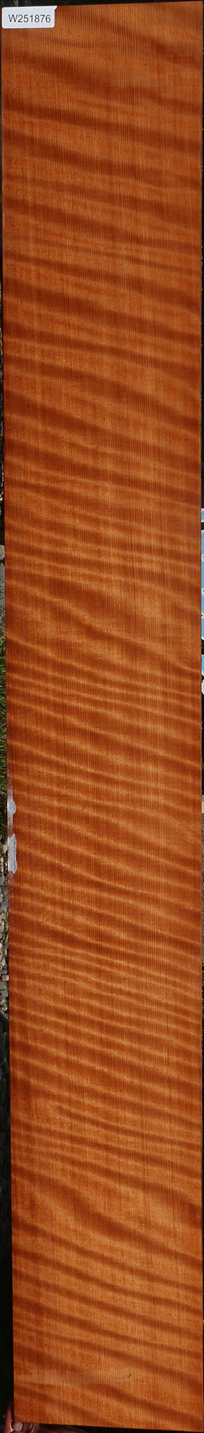 Extra Fancy Curly Quartersawn Redwood Instrument Lumber