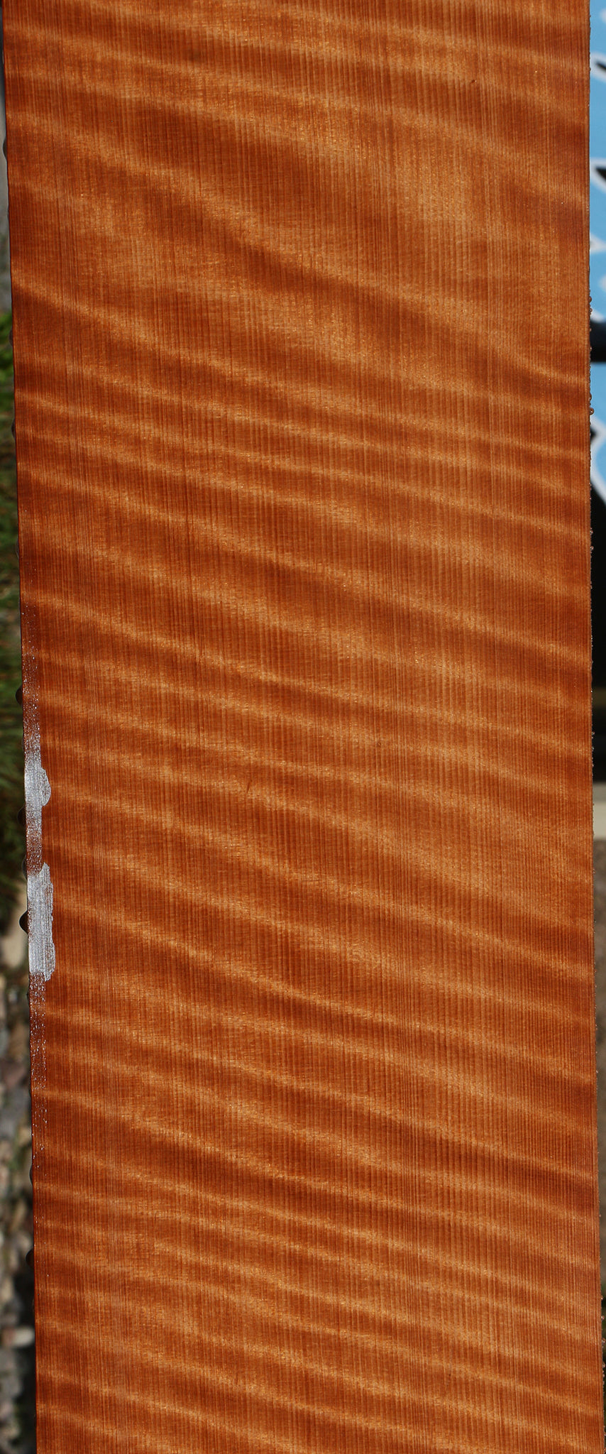 Extra Fancy Curly Quartersawn Redwood Instrument Lumber