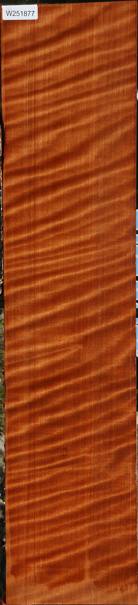 Extra Fancy Curly Quartersawn Redwood Instrument Lumber