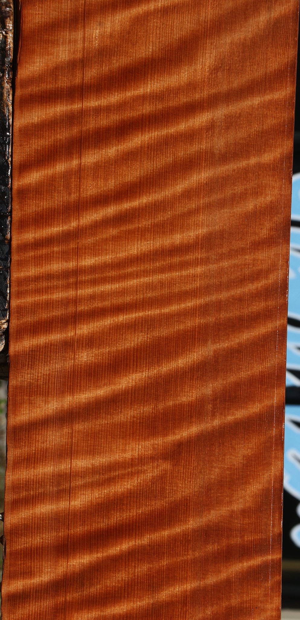 Extra Fancy Curly Quartersawn Redwood Instrument Lumber