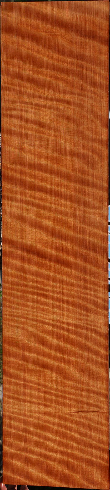 Extra Fancy Curly Quartersawn Redwood Instrument Lumber