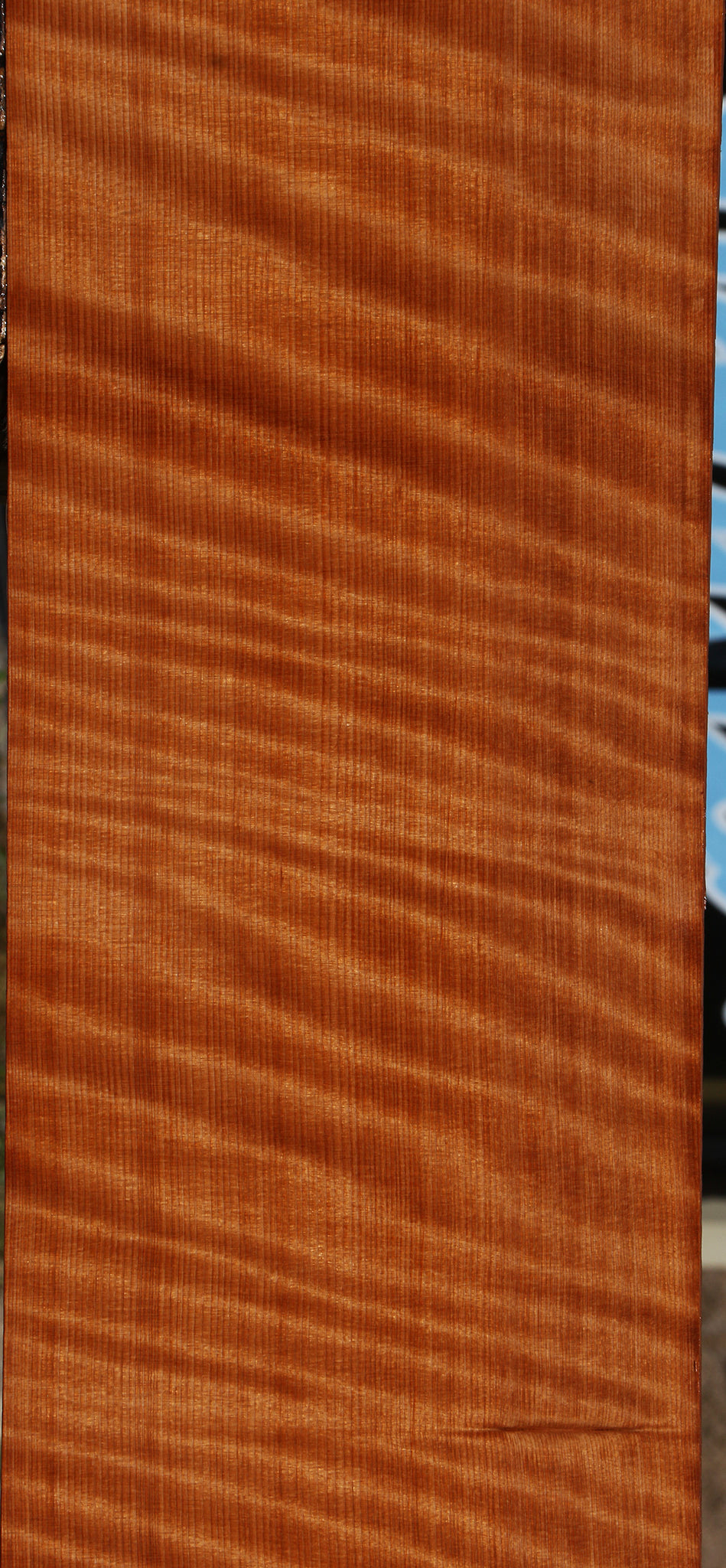 Extra Fancy Curly Quartersawn Redwood Instrument Lumber