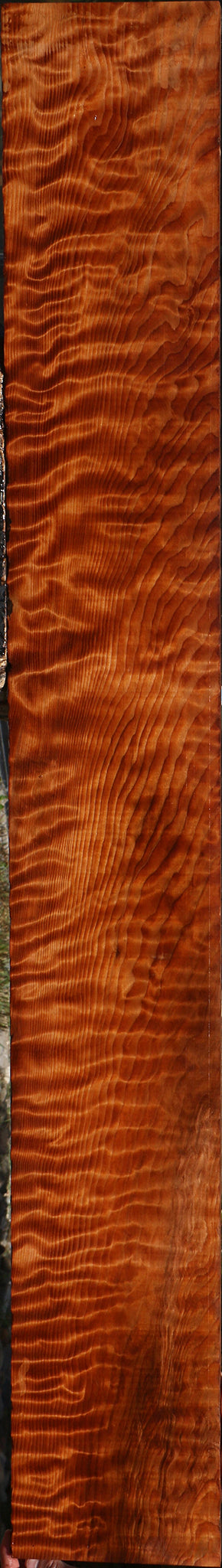 Extra Fancy Curly Redwood Instrument Lumber