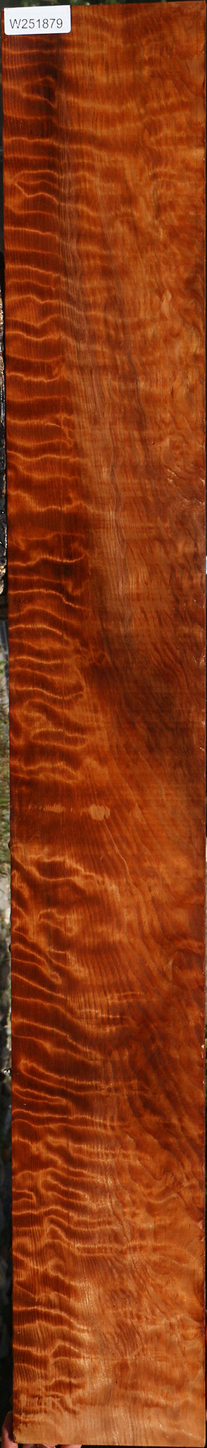 Extra Fancy Curly Redwood Instrument Lumber