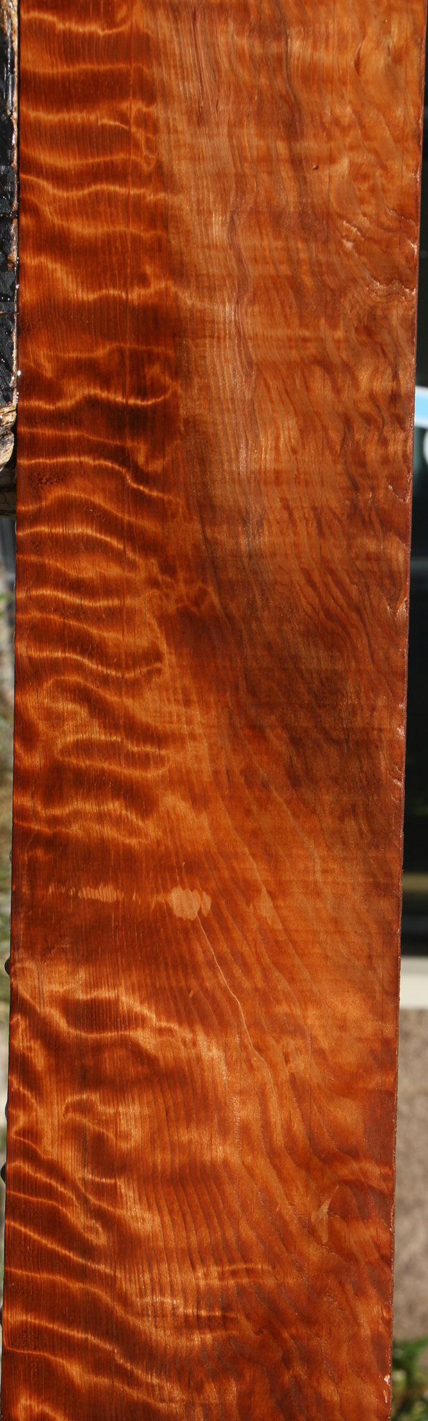 Extra Fancy Curly Redwood Instrument Lumber