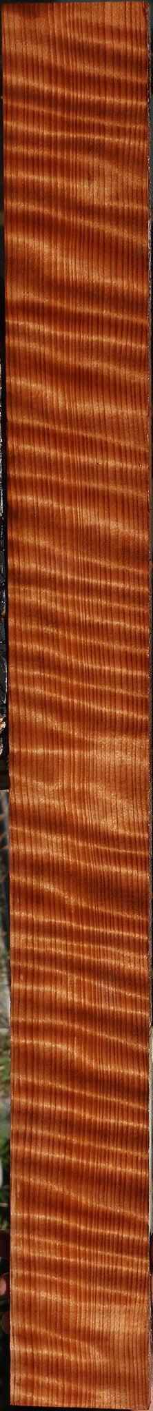 Extra Fancy Curly Quartersawn Redwood Lumber