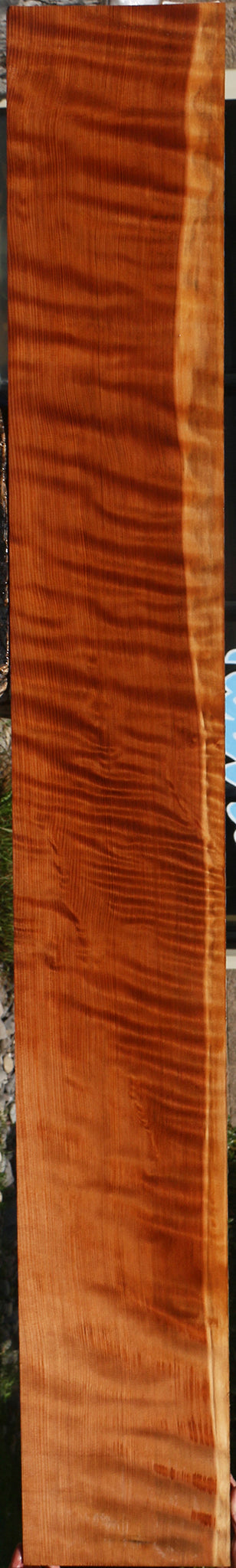 Extra Fancy Curly Quartersawn Redwood Lumber
