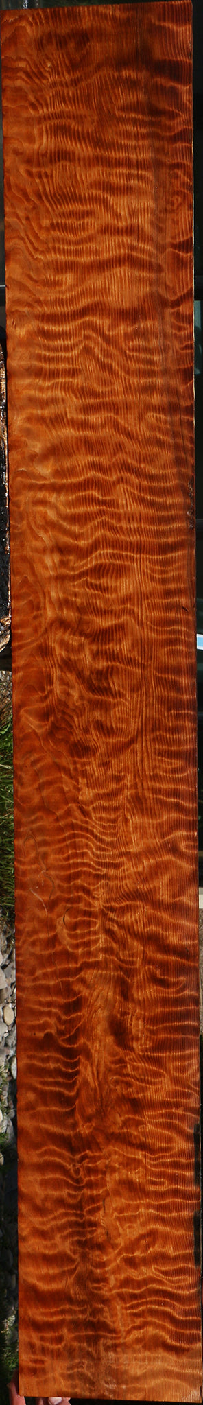 Exhibition Curly Redwood Lumber