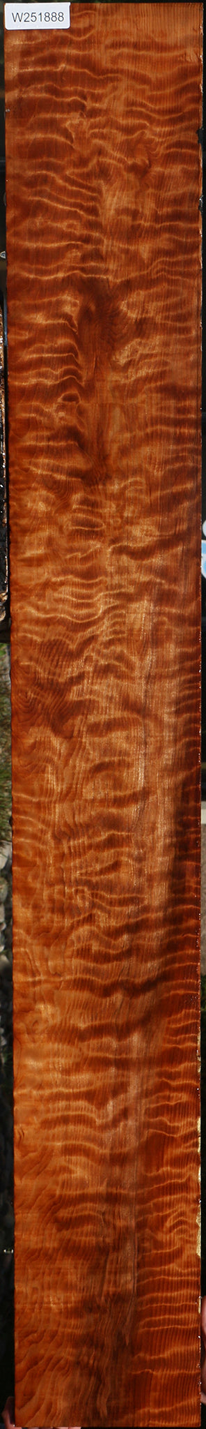 Exhibition Curly Redwood Lumber