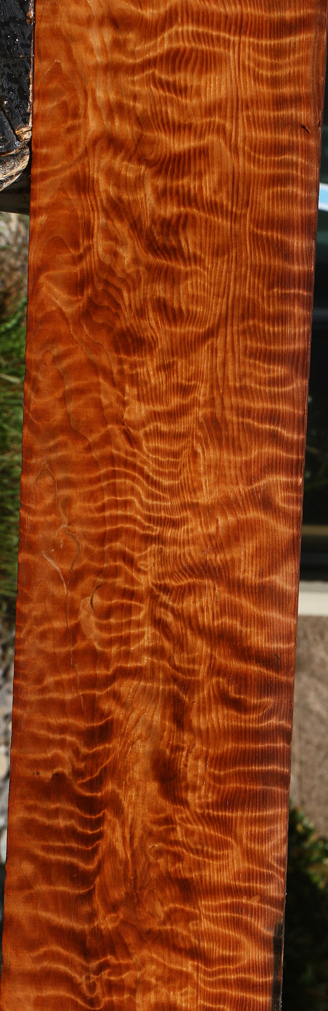 Exhibition Curly Redwood Lumber