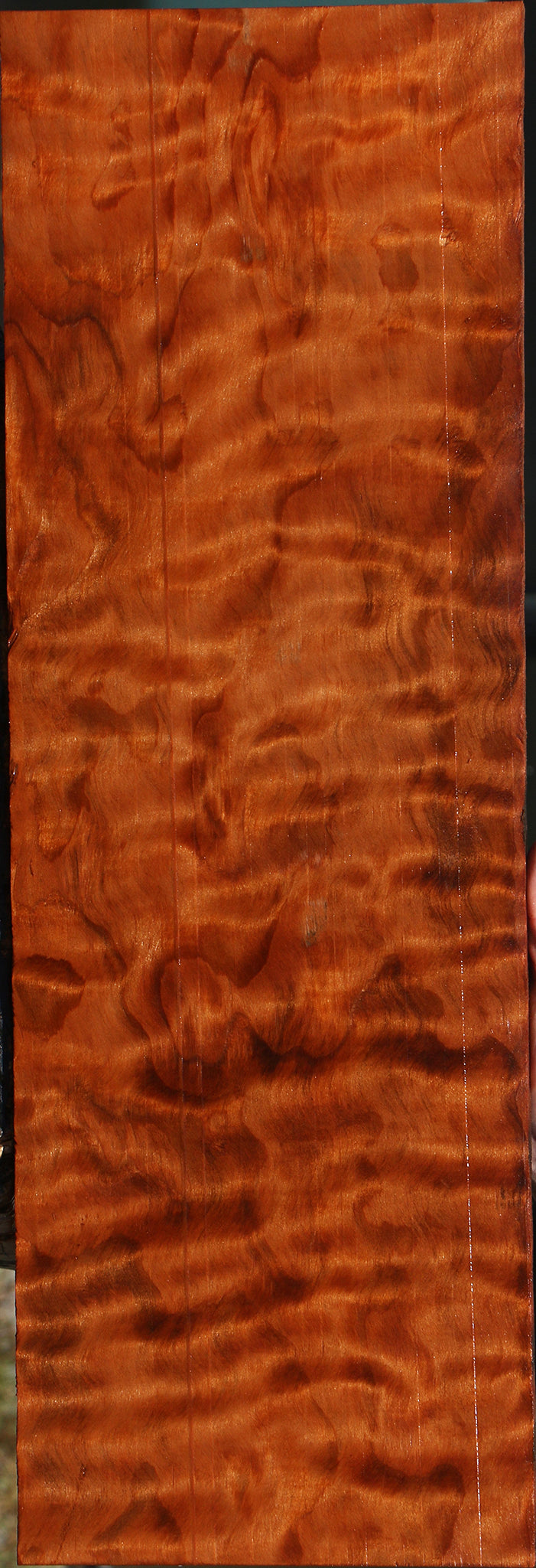 Extra Fancy Curly Redwood Instrument Lumber