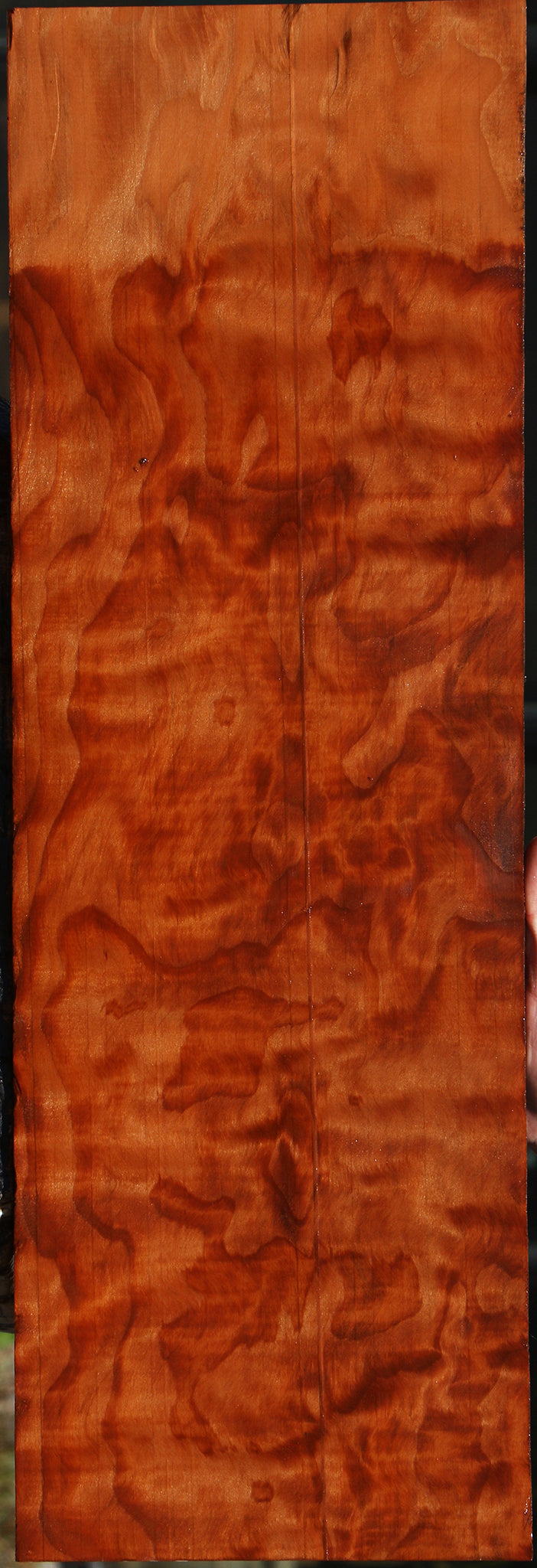 Extra Fancy Curly Redwood Instrument Lumber