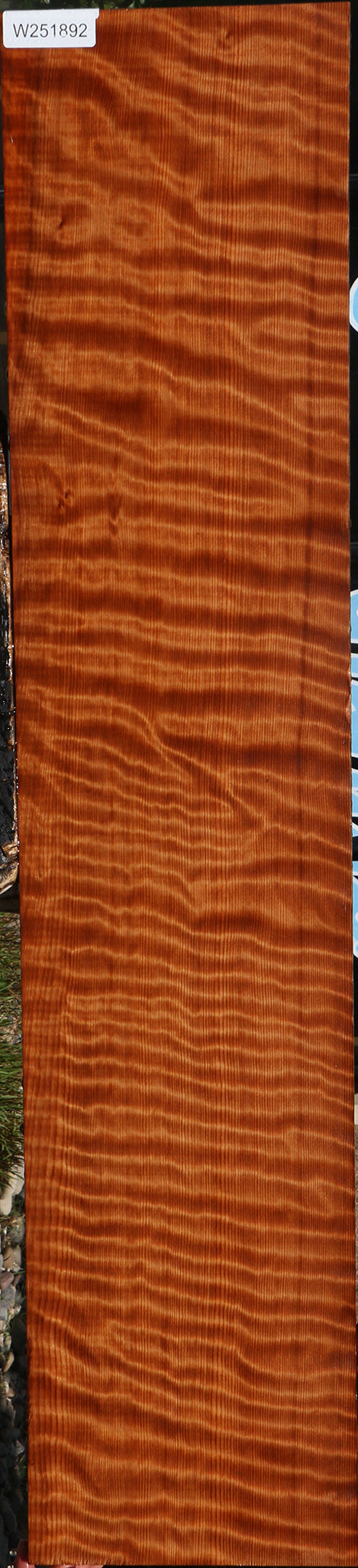 Extra Fancy Curly Redwood Instrument Lumber