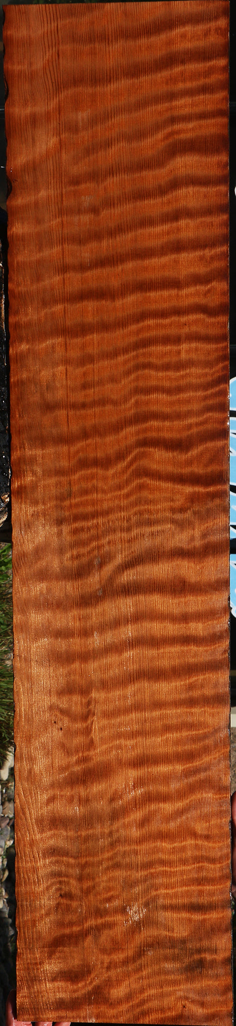 Extra Fancy Curly Redwood Instrument Lumber