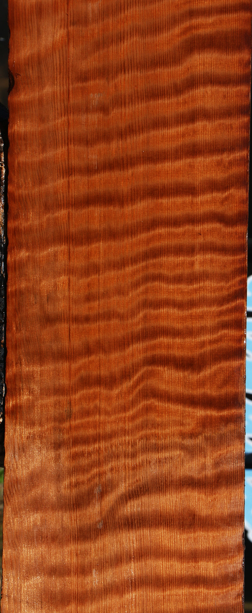 Extra Fancy Curly Redwood Instrument Lumber